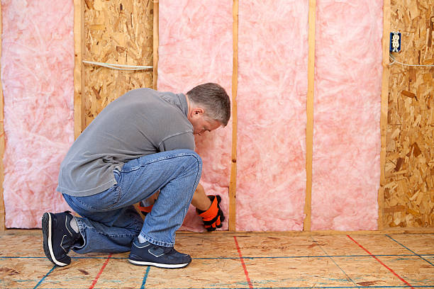 Best Insulation Installation Services in New California, OH